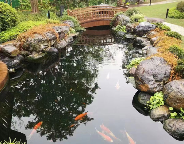 浮山实景案例